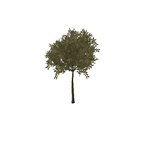 Small Tree 3